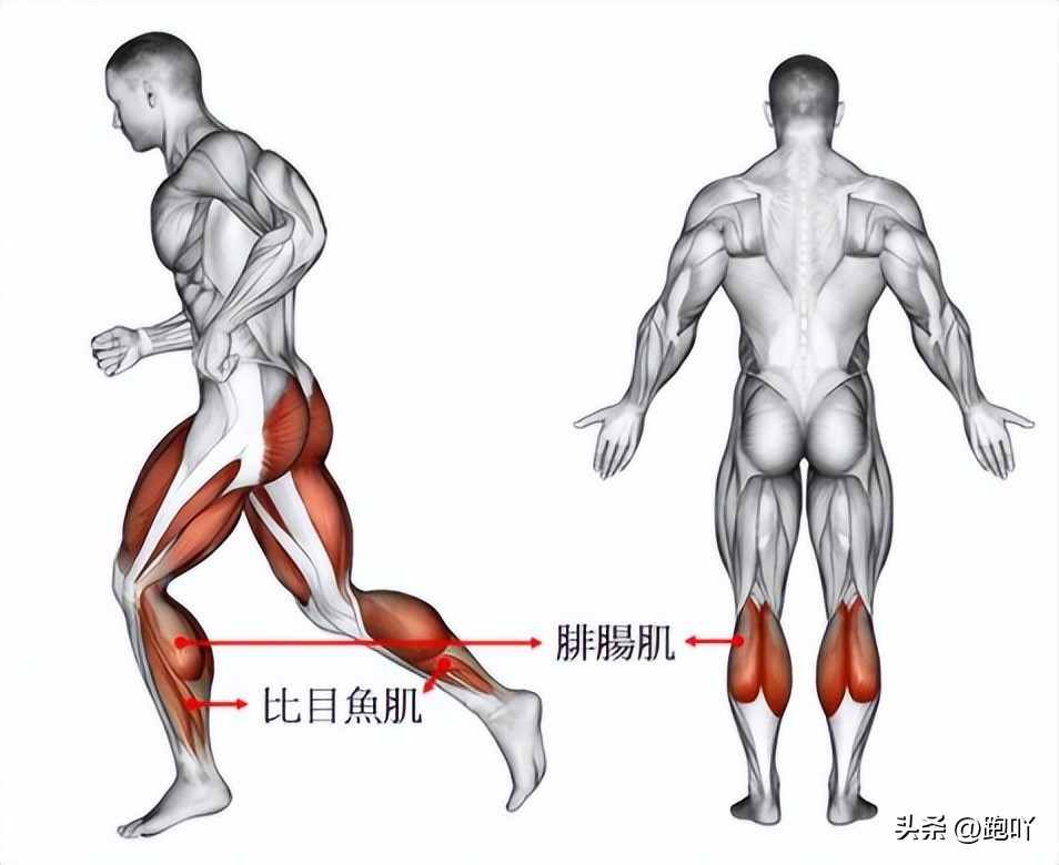 Strong calves allow you to increase your stride and cadence and run