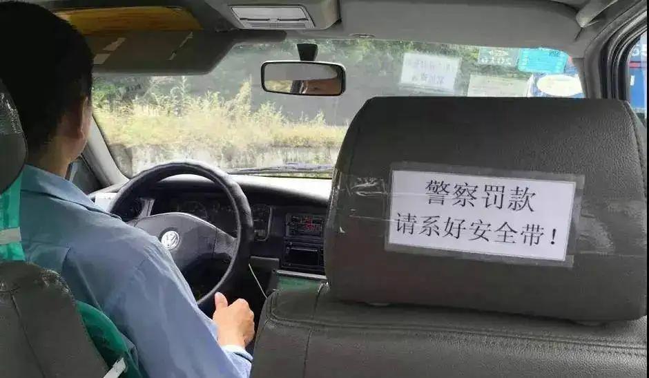 Why do you have to wear seat belts in the back seat of your car? iNEWS