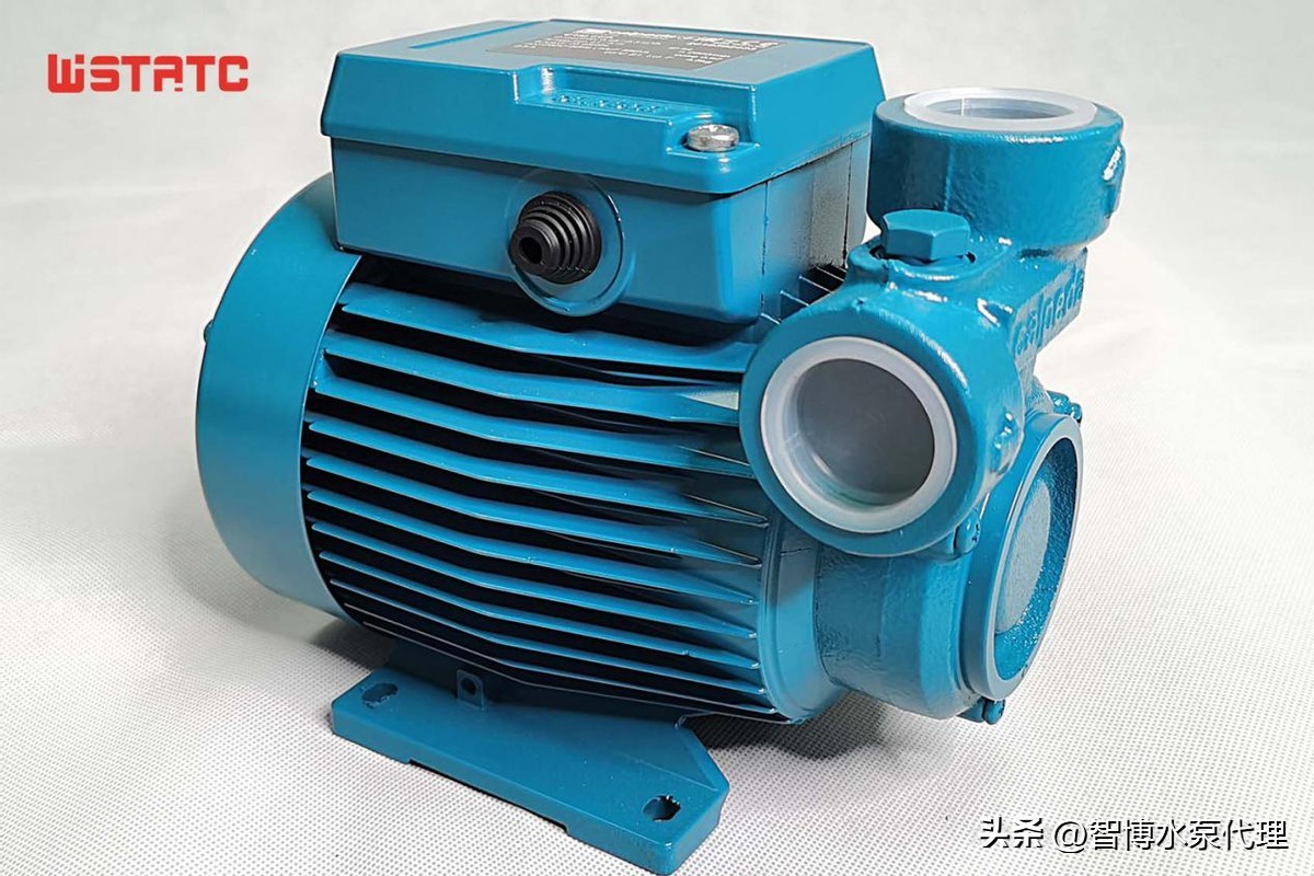 What brand of household water pump is good, what brand of water pump is