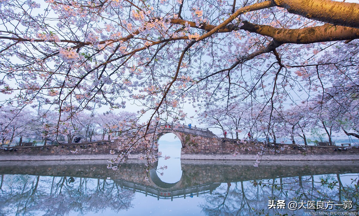 Spring insomnia? Try this foot bath recipe, the feet are comfortable