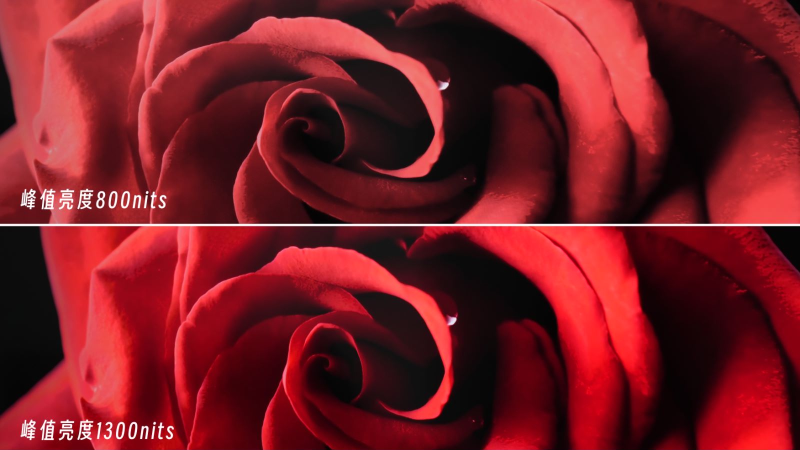 How to choose a reliable true HDR TV with a budget of 1,000 yuan iNEWS