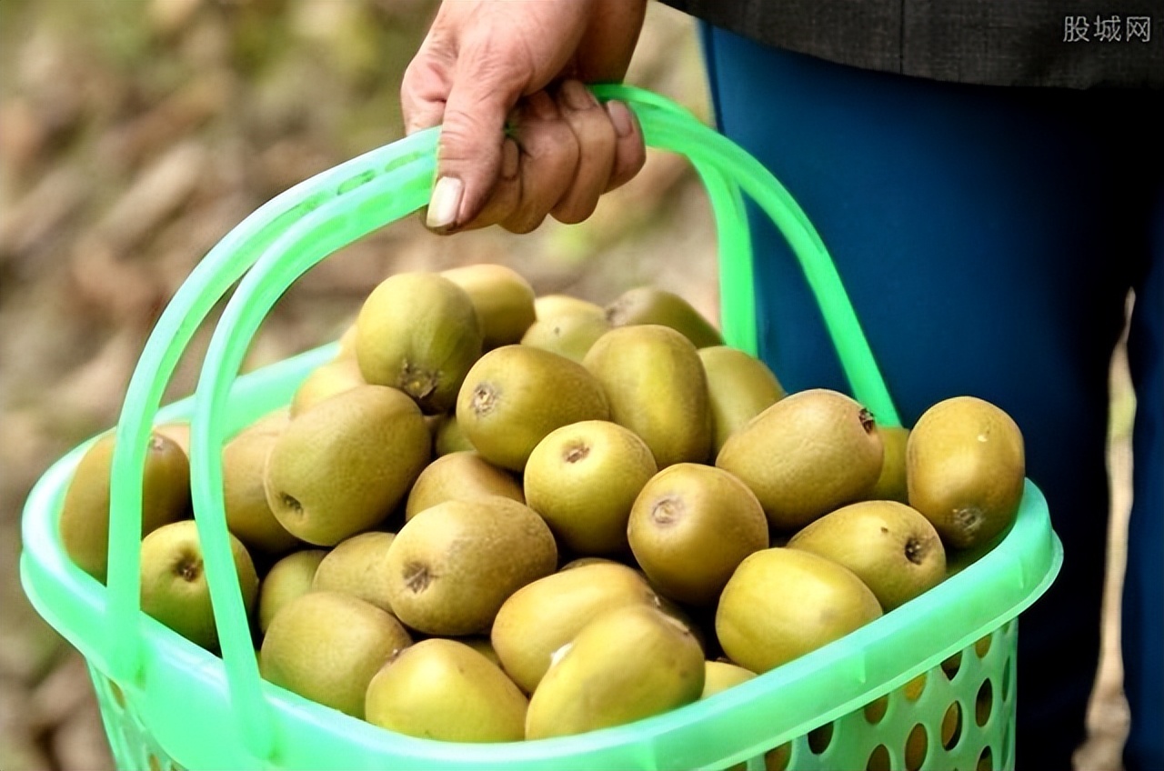 Can kiwi fruit be eaten casually?Doctor's advice These 5 types of