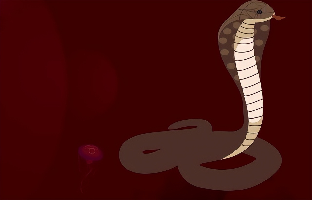 A cobra in Changsha jumped into the washing machine, can the snakes hit