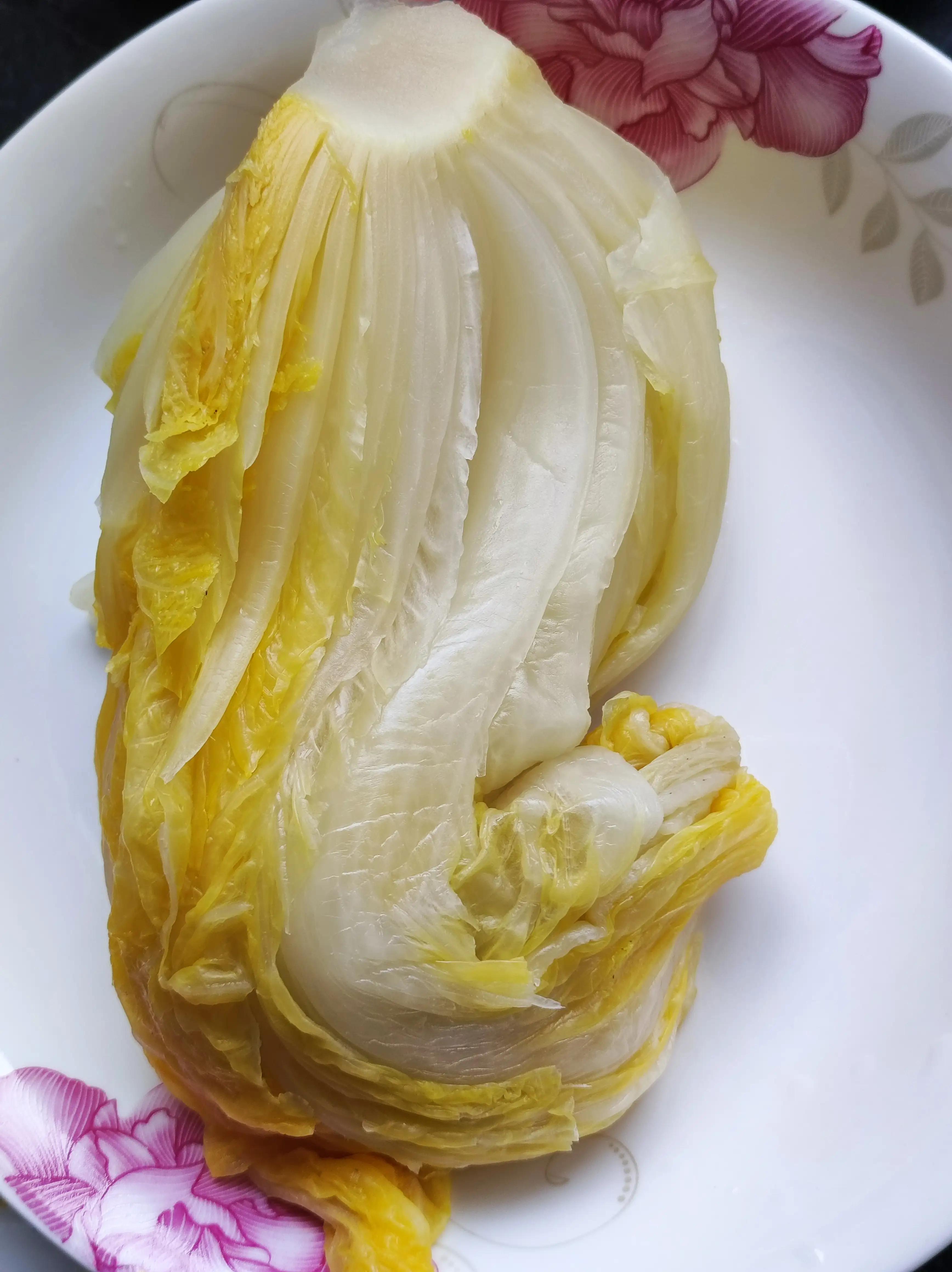 Stewed Frozen Tofu Noodles with Pickled Cabbage iNEWS