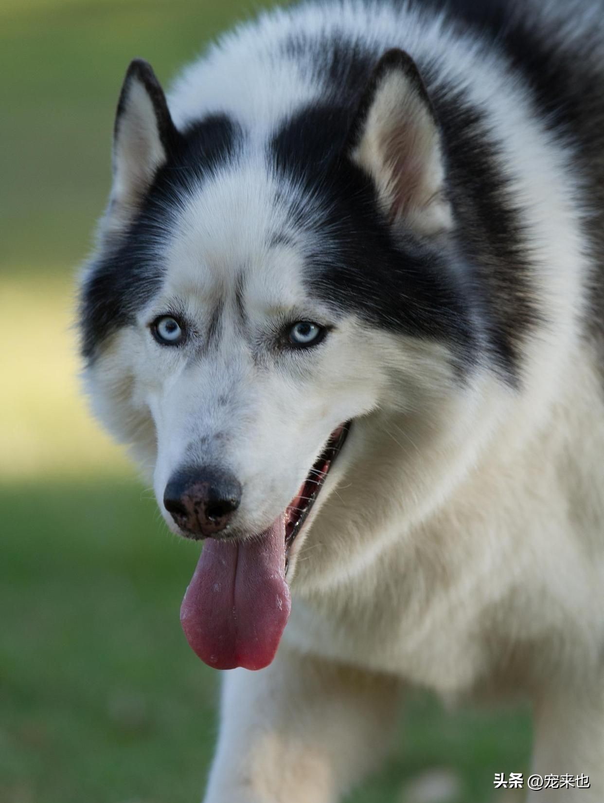 What is life expectancy in Alaska iNEWS