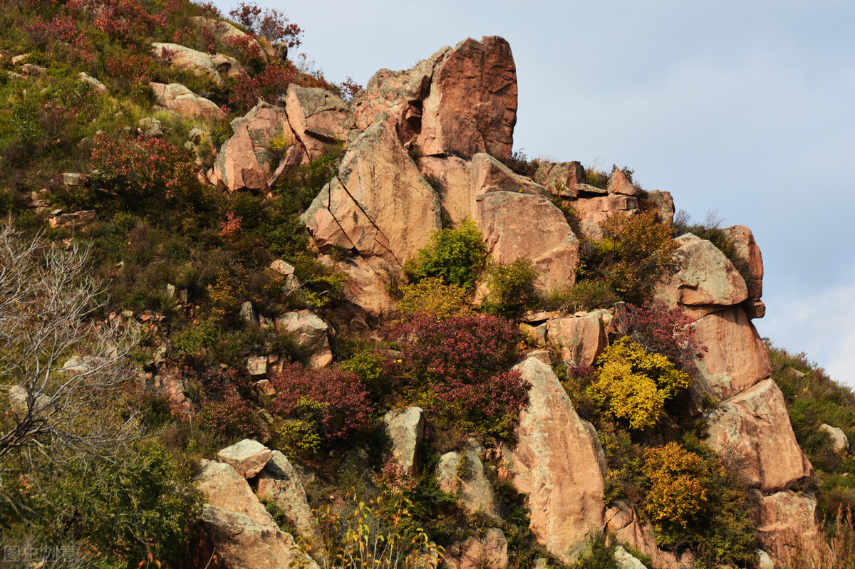 Analysis of Common Misinterpretations in Chapter 20 of Tao Te Ching - iNEWS