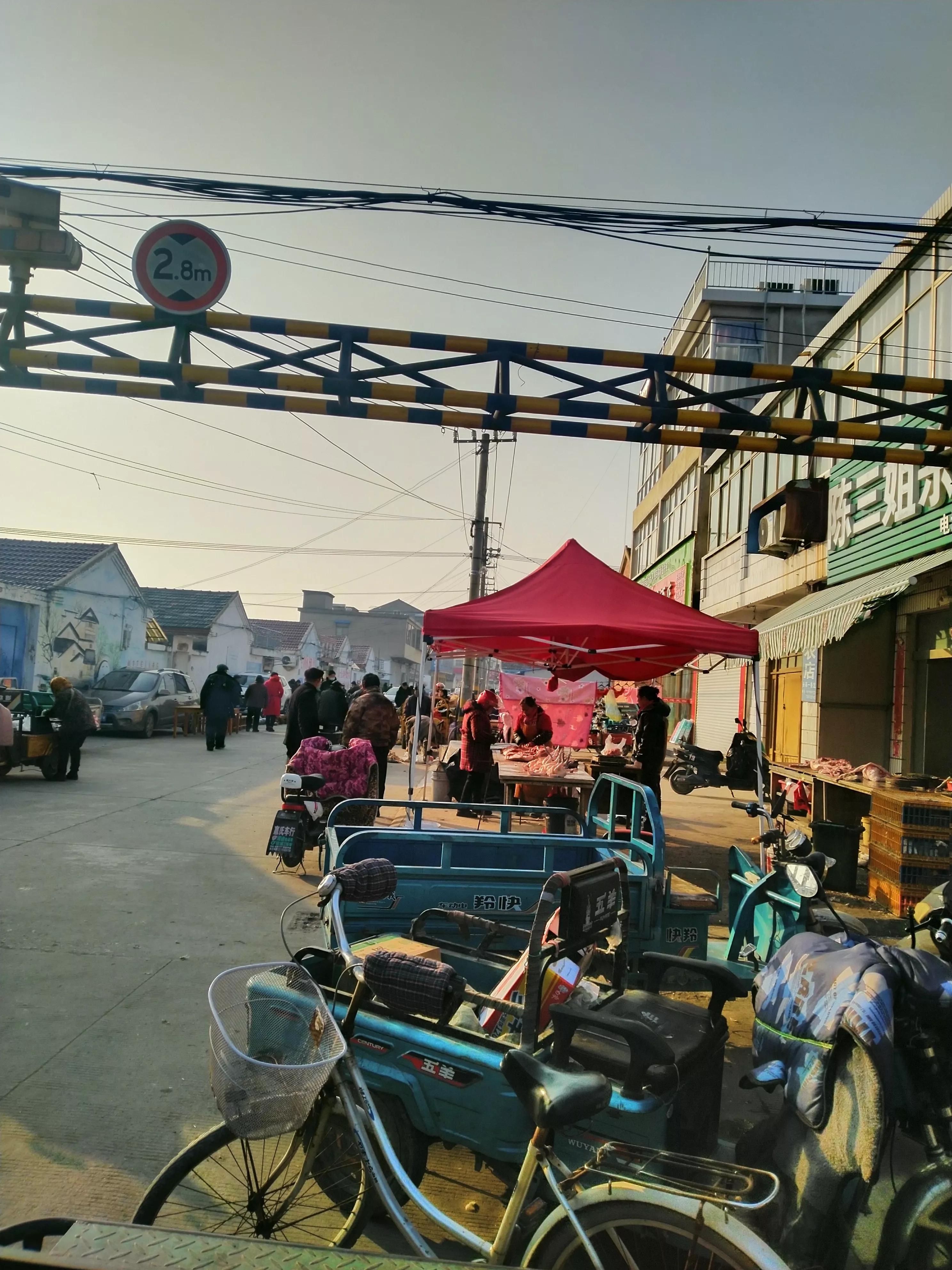 "Gourmet Fish Jelly" iNEWS