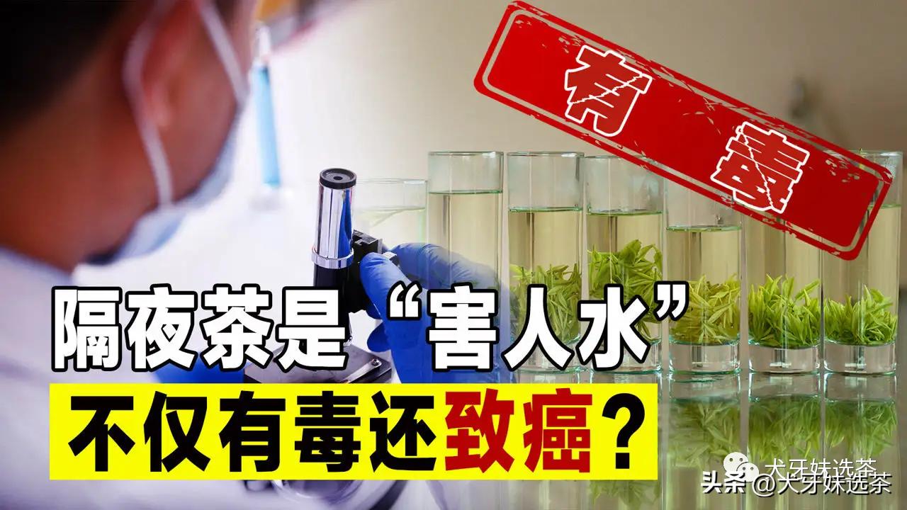 Overnight tea, like a viper?Is overnight tea dangerous?You will