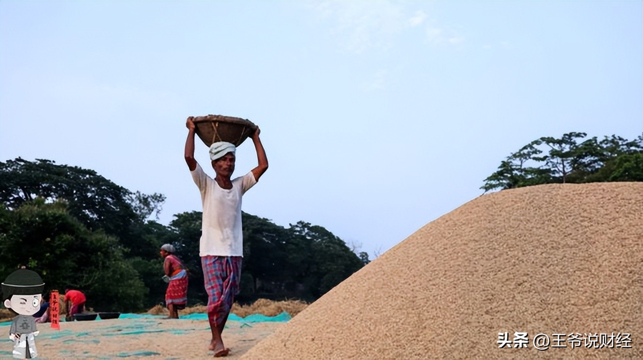 The world's largest rice exporter announced 20 tax increase!Thailand