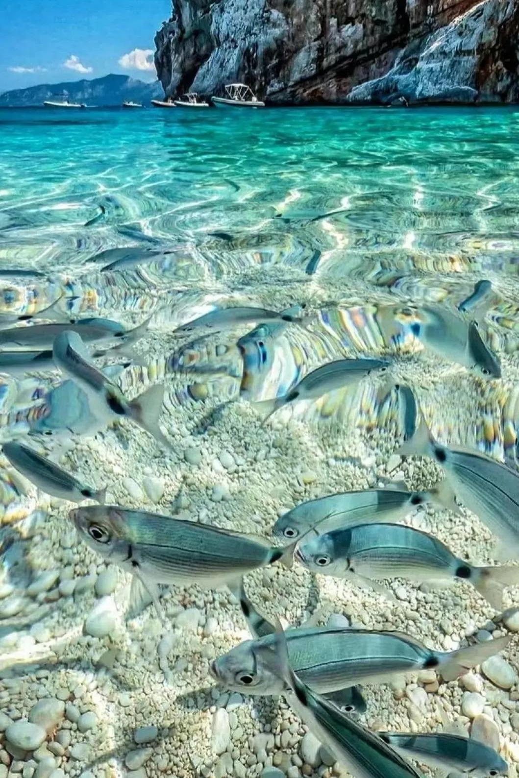 Xisha Islands, the most anticipated tourist destination iMedia