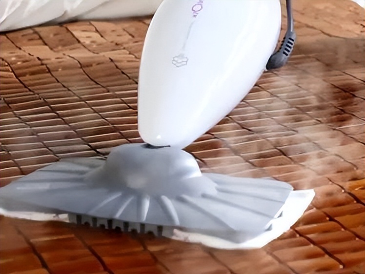 Top ten brands of steam mops, which brand of steam mop is good? iNEWS