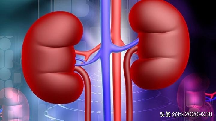 How to take proper care of kidney deficiency - iNEWS