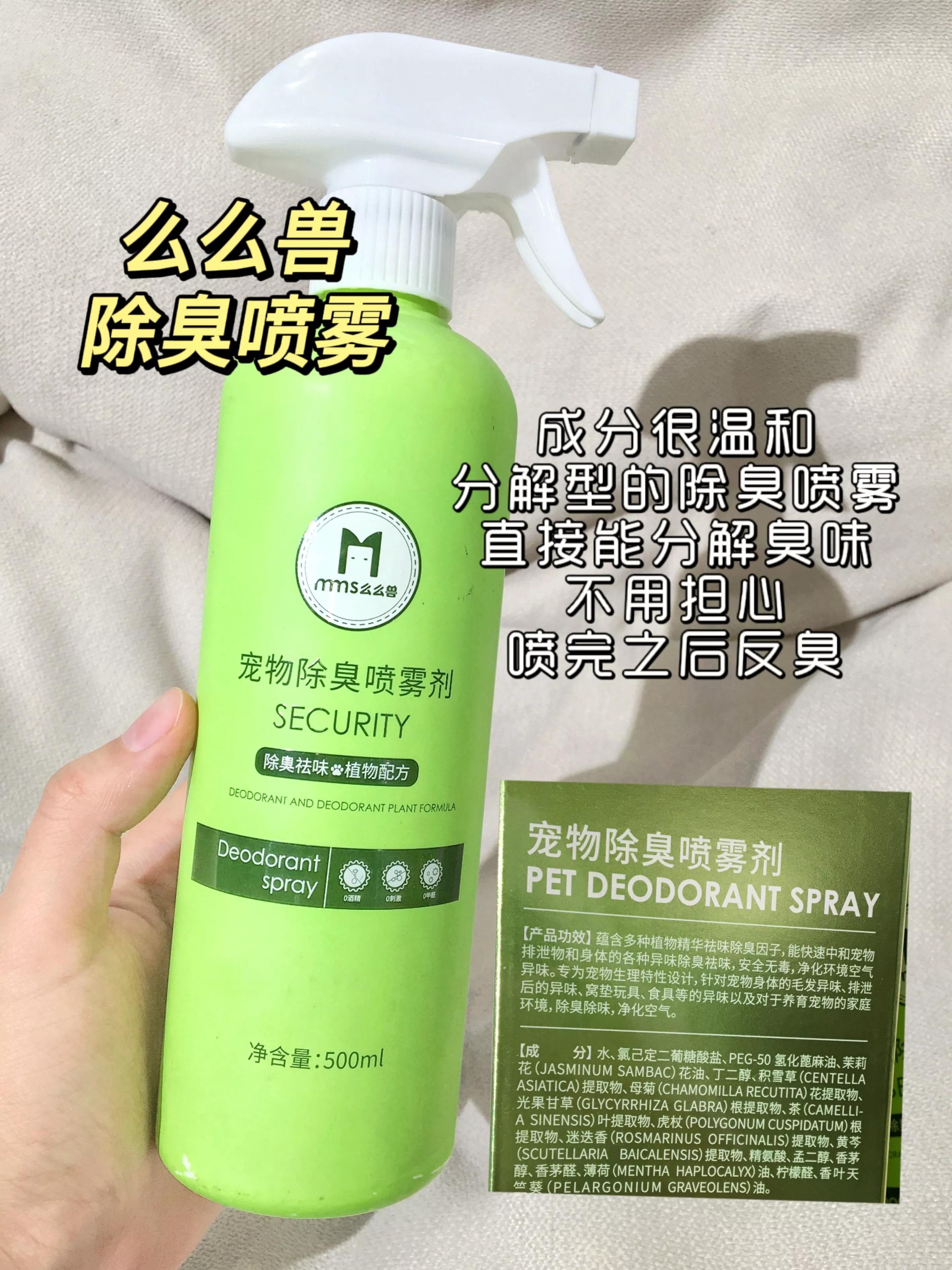 How to keep a dog clean every day?Basic health knowledge is here iNEWS