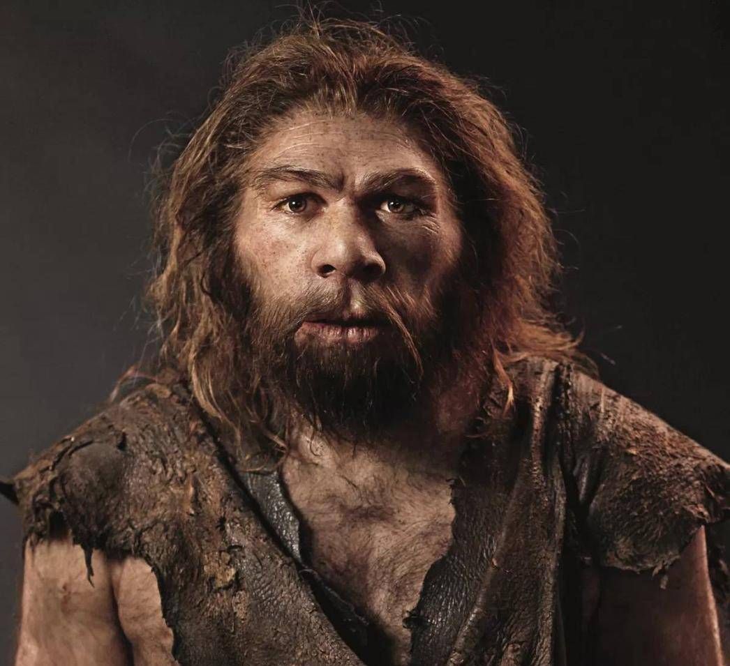 Why do Caucasians have more body hair than our yellow race? Is it because they returned to their