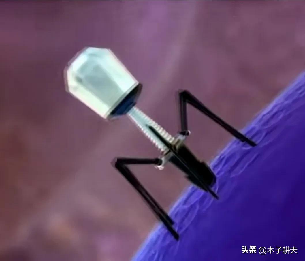 The virus turned out to be a very wonderful and exquisite molecular ...