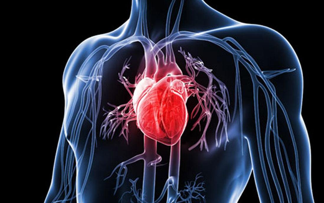 what-tests-can-check-for-heart-disease-inews