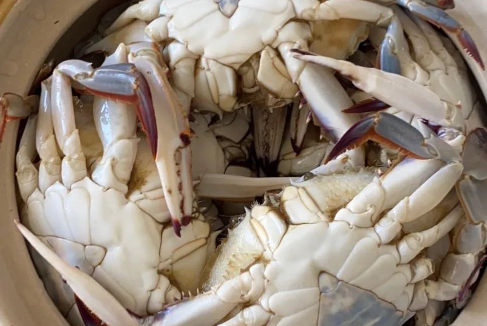 Dead crabs, which can be eaten?Which can't be eaten?Consumer Tips for