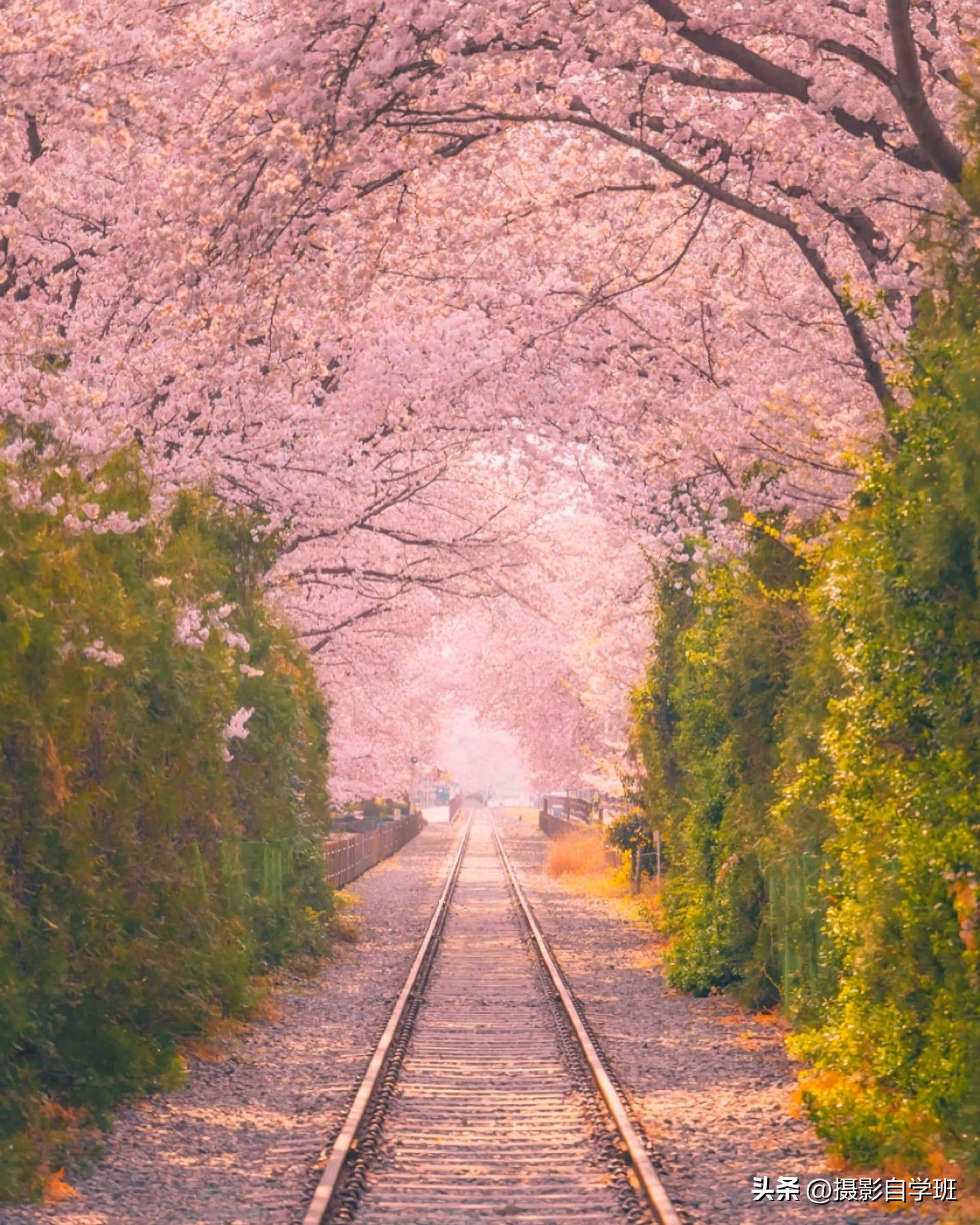 The scenery is so beautiful, how to shoot it right, use these 5