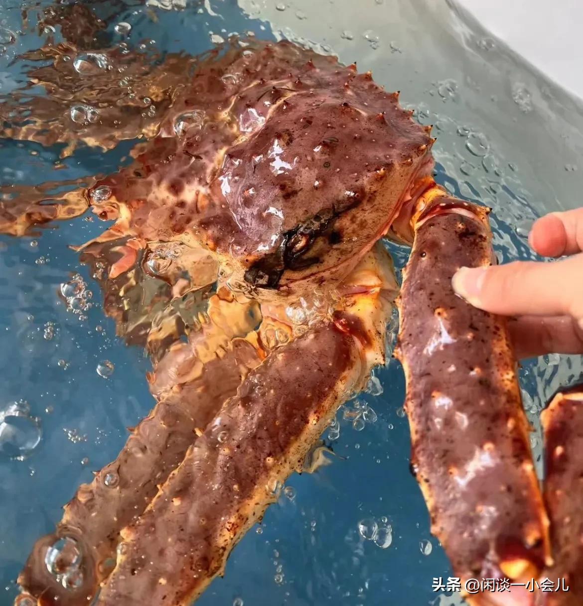 King crabs are rampant in Norway, why are king crabs so expensive in
