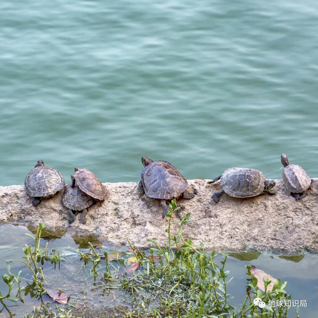 Why does your body temperature go up and down? iMedia