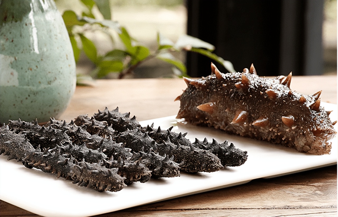 The secret of sea cucumber nutrition! Why are sea cucumbers so