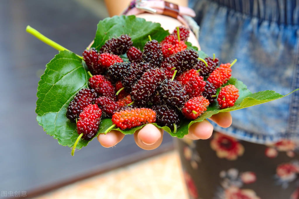 Wash mulberries, don't use flour, don't put salt iNEWS