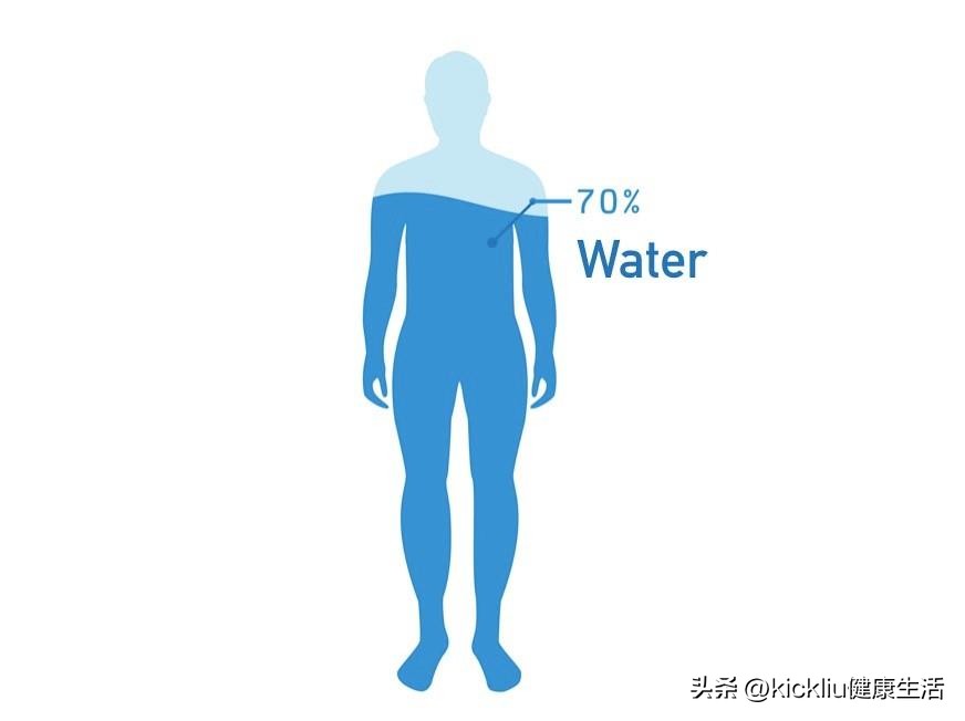Nutritional strategies for strength and muscle (1) How bodybuilders