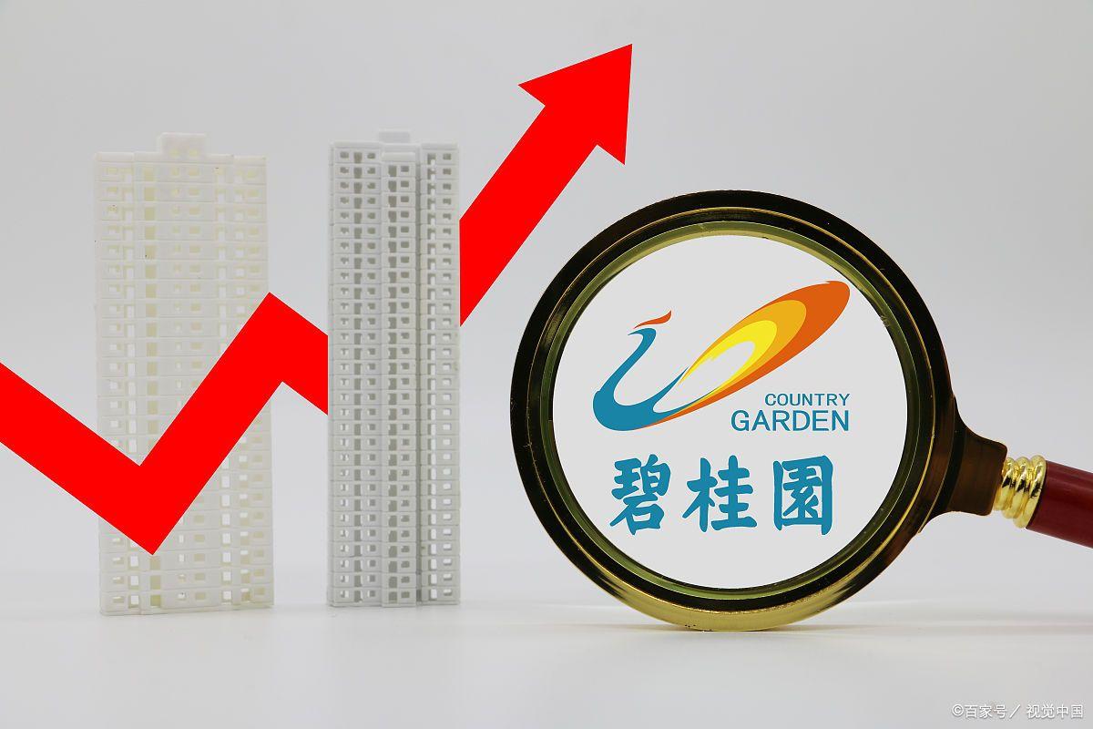 China's largest real estate company Country Garden's firstNovember