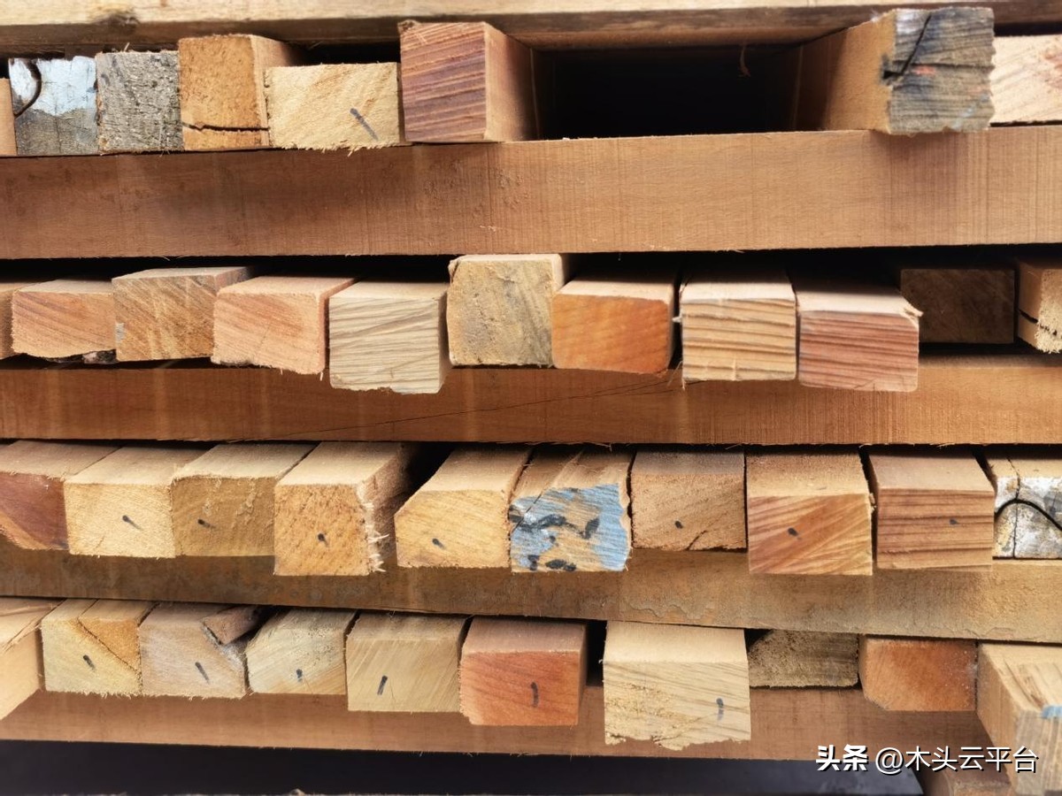 雜木也有雜木的好,硬雜木究竟有什麼好? - 資訊咖
