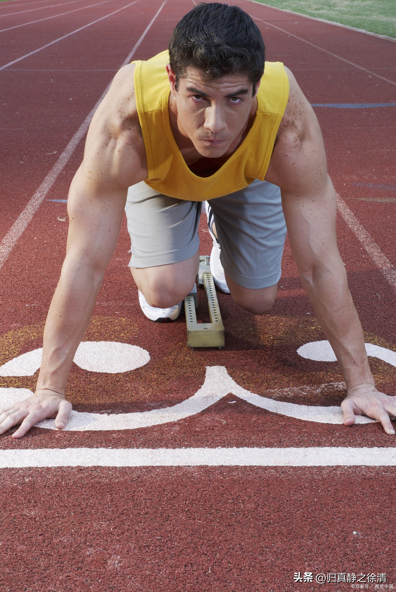 What are the most popular majors for sports students, and an analysis