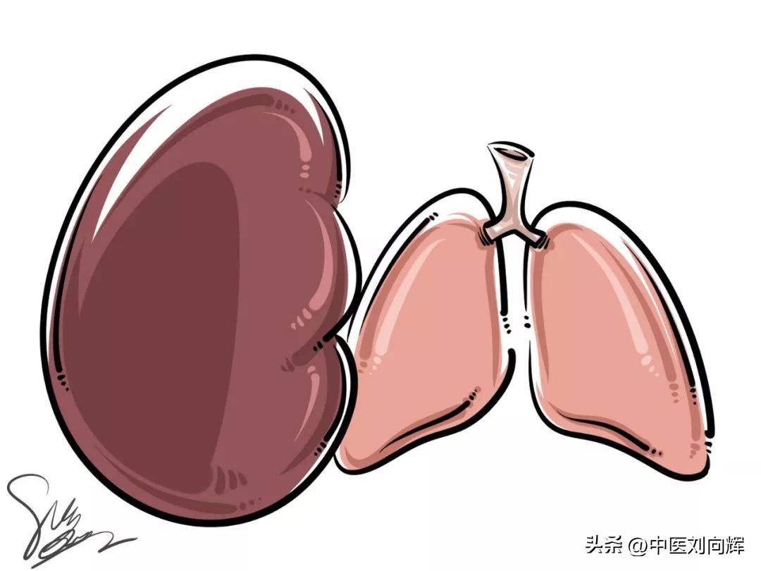 Cough, phlegm, wheezing? Not only the lungs must be cured, but the