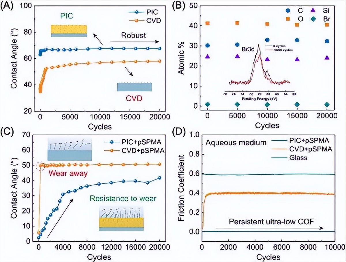 In RAFT polymer nanoengineering, what features are exhibited in the ...