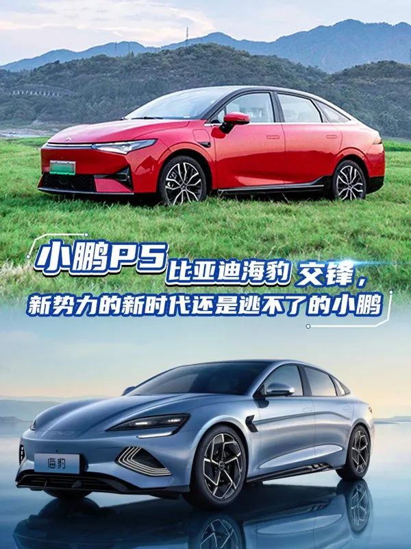 Wei Xiaoli meets the four little dragons in electric cars, the end of ...