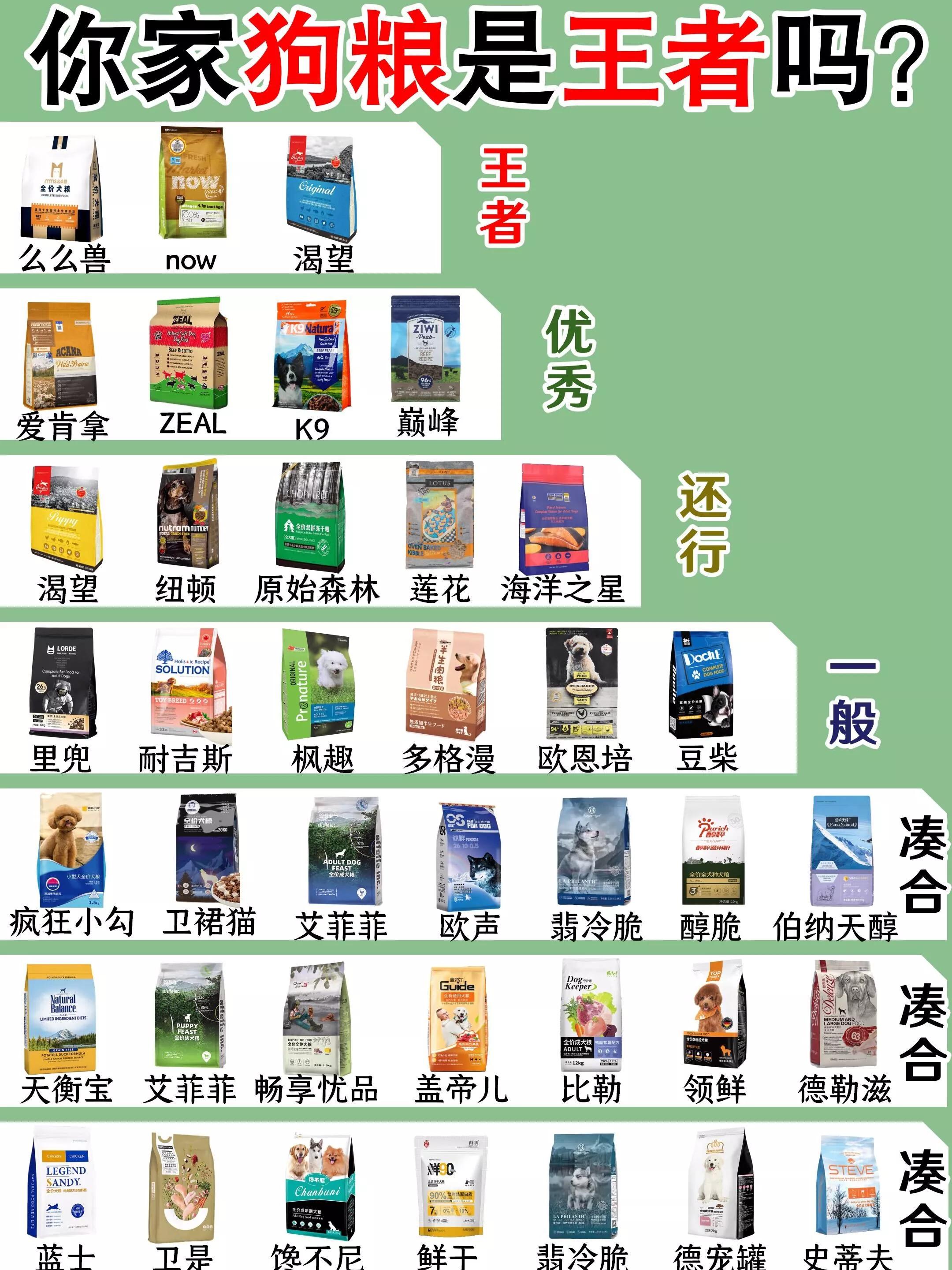 How to choose highquality dog food, a musthave food guide for