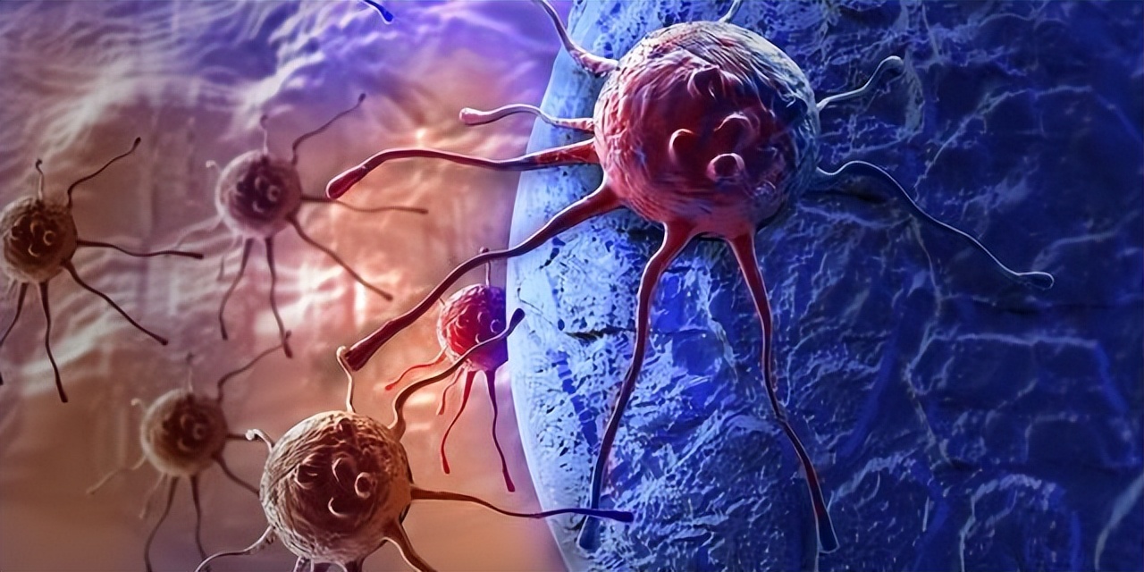 Does everyone have cancer cells?Why do some people get cancer? - iMedia