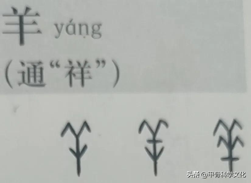【甲骨文化】心經要義.觀 - 頭條匯