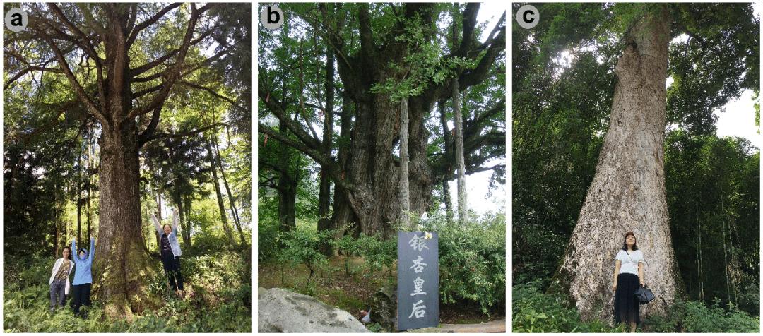 [Nat Plants]Reveal the key factors affecting the long-term preservation ...