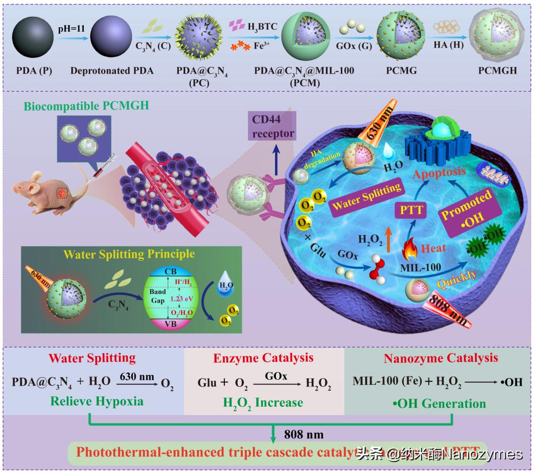 Application Of Three Cascade Nanocatalysts With Oxygen Supply And Photothermal Enhancement Inews