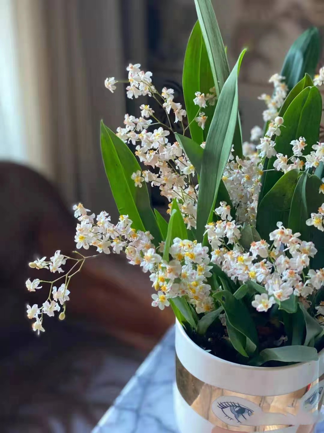 When growing flowers in autumn, do not blindly fertilize in 4