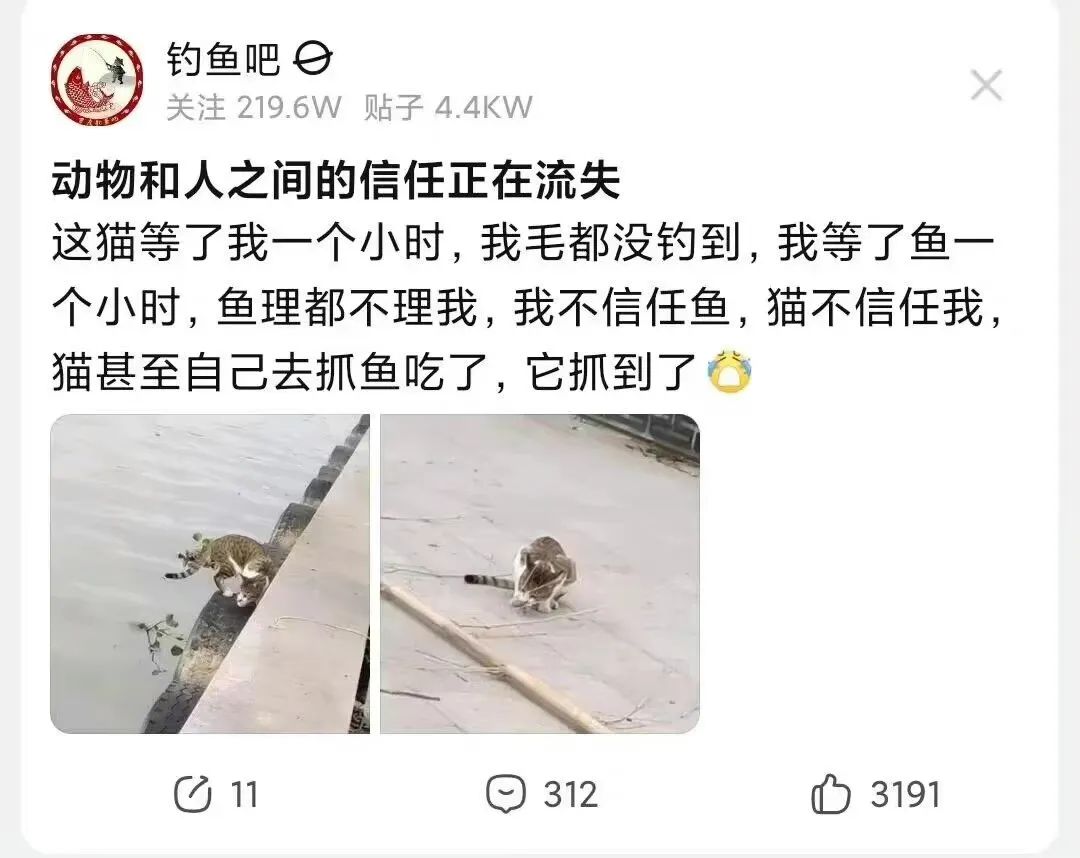 The child has an accent iNEWS