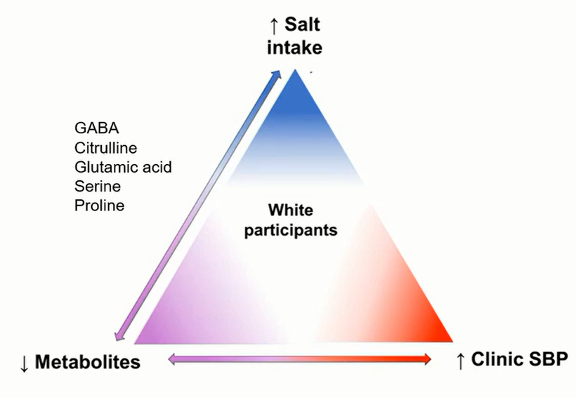 Professor Mu Jianjun: The relationship between dietary sodium intake ...