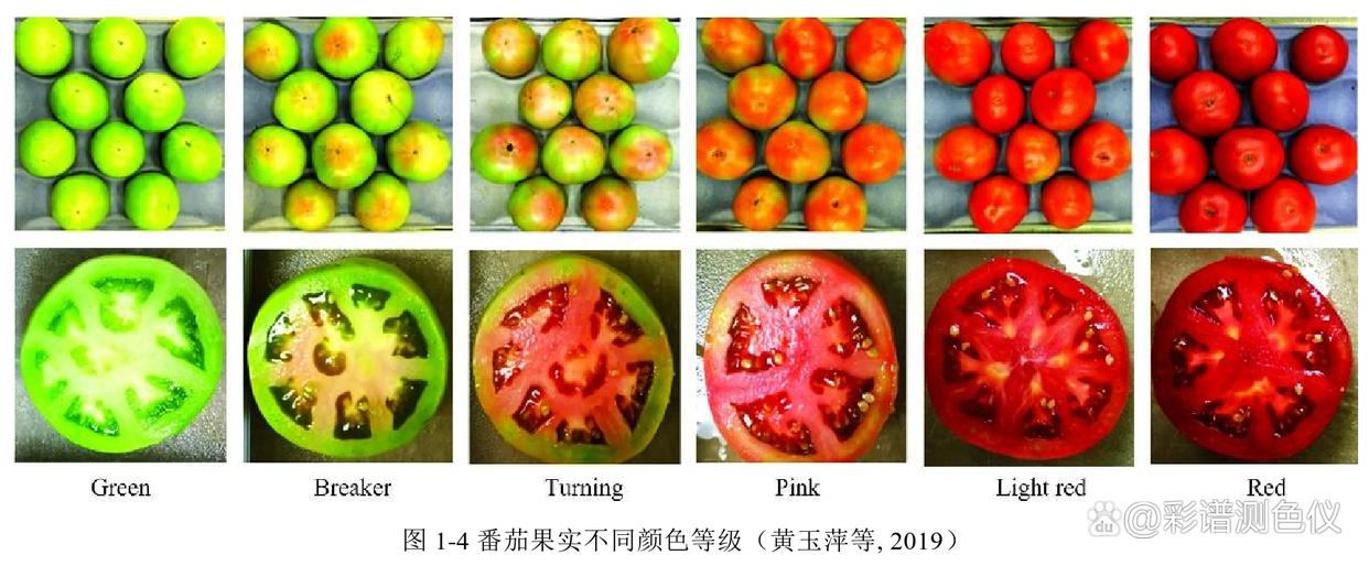Study on the ripeness of tomato fruit by hyperspectral imaging system ...