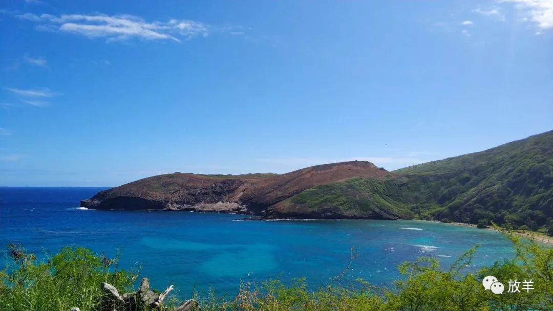 Hawaii is probably the most friendly travel destination for Asians iNEWS