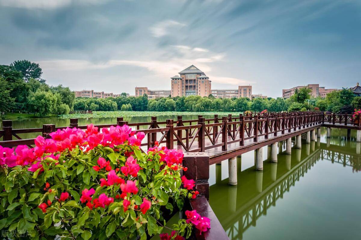 Alumni Association 2023 Ranking of and Nonmetallic Materials