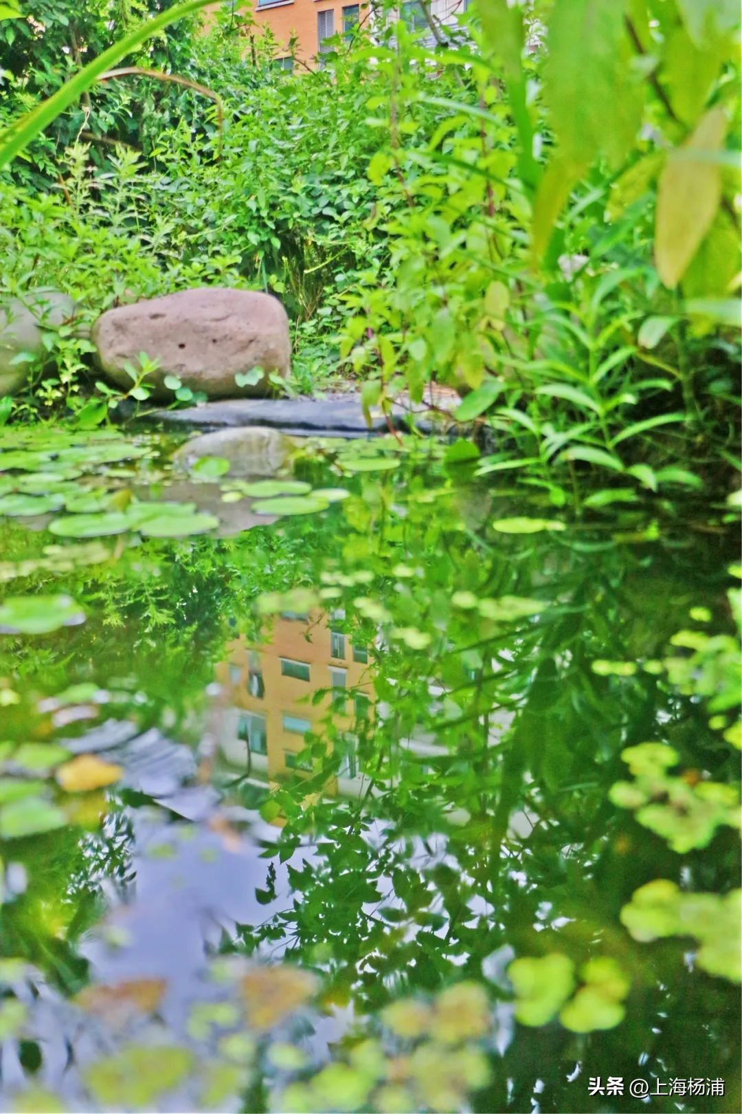 The heat wave is coming, steaming up and down iNEWS