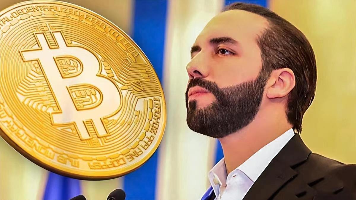 My Overbearing President Who Buys Coins You Know El Salvador Is Crying my-overbearing-president-who-buys-coins-you-know-el-salvador-is-crying