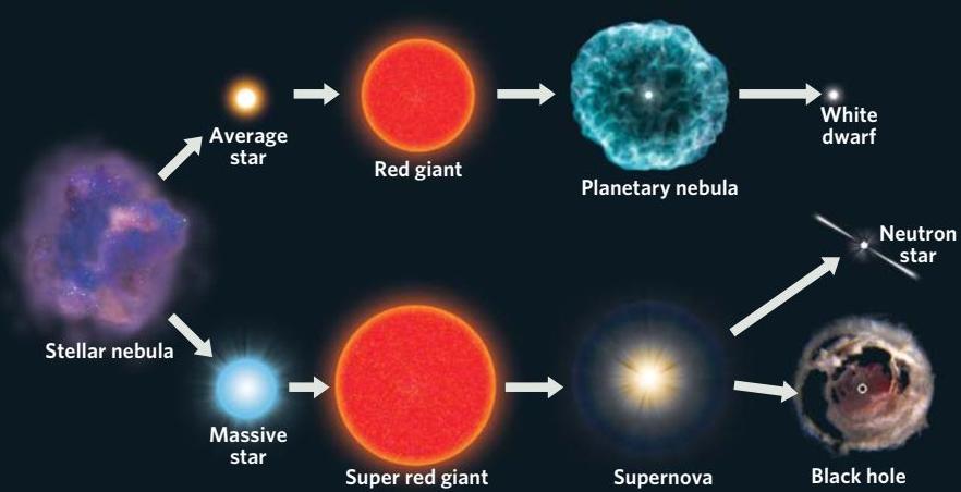 What are the stages of star development? What are the characteristics ...