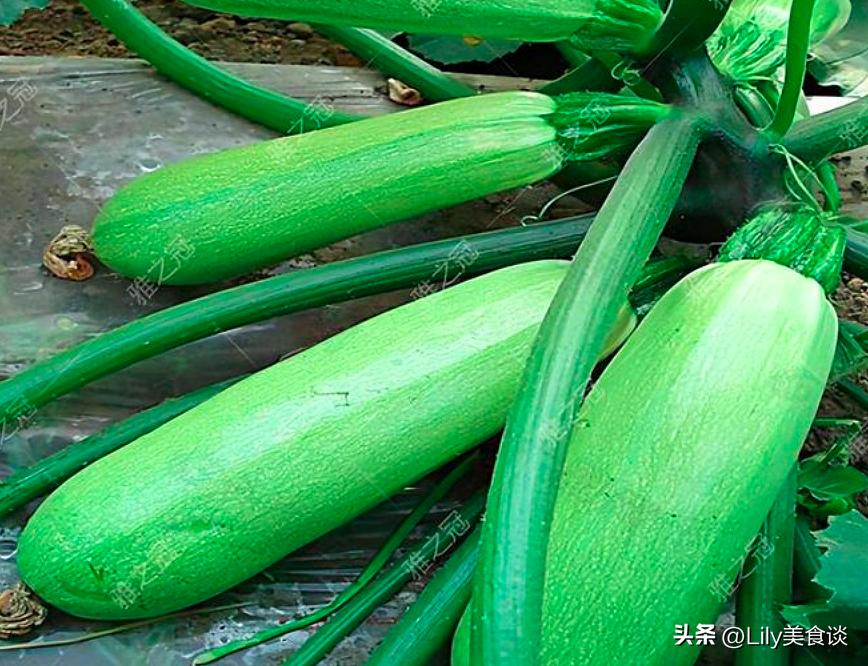 "Eat melons in the beginning of summer, and your body will be topnotch