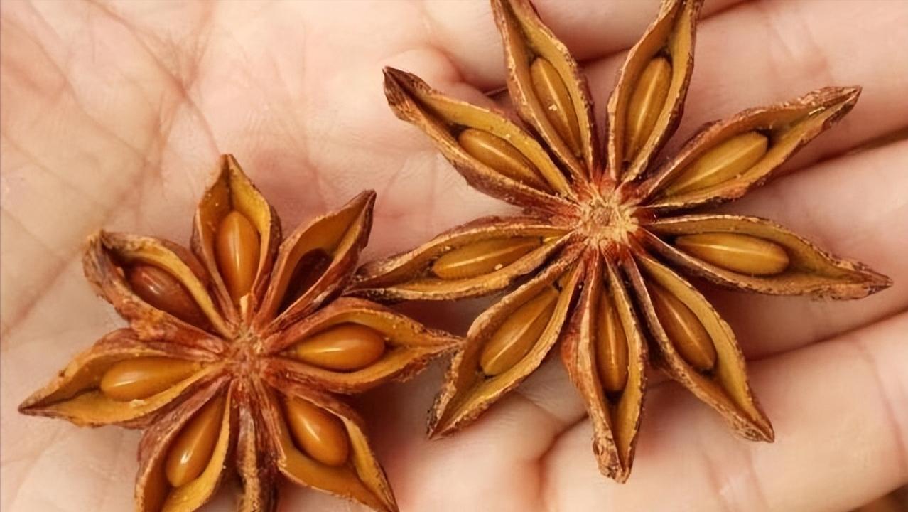 When buying star anise, pay attention to distinguish between "right