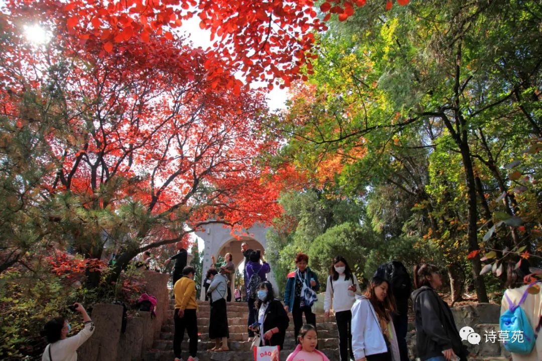 Feng Rusong Revisiting Hongye Valley Feelings - iNEWS